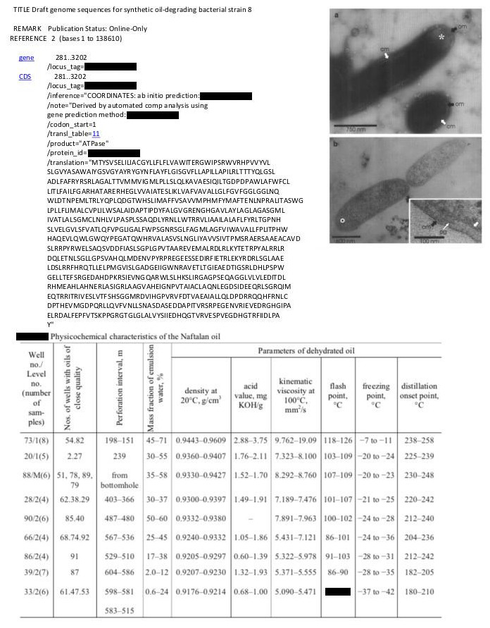 Redacted document from Ghambaryan